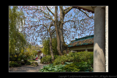 2011 - Vancouver - Dr. Sun Yat-Sen Classical Chinese Garden