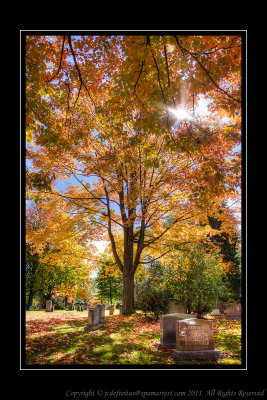 2010 - Mount Pleasant Cemetery