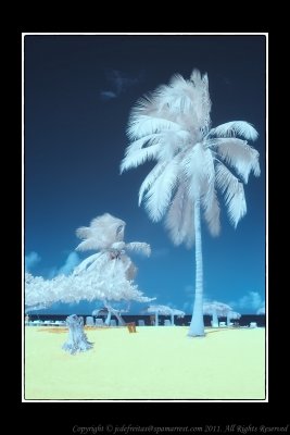 2011 - Infrared - Playa Esmeralda - Holguin, Cuba