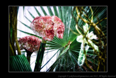 2012 - Canada Blooms, Toronto