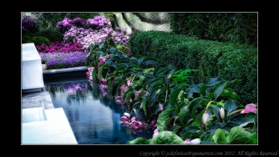 2012 - International Garden of Tapei, Canada Blooms - Toronto