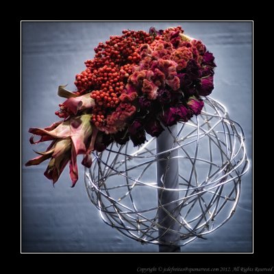 2012 - Floral Fascinator, Canada Blooms - Toronto