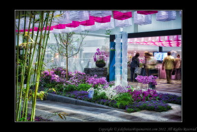 2012 - International Garden of Tapei, Canada Blooms - Toronto