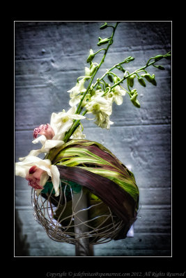 2012 - Floral Fascinator, Canada Blooms - Toronto