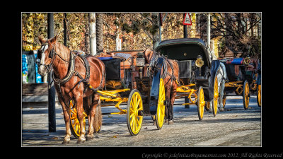 2012 - Seville, Spain