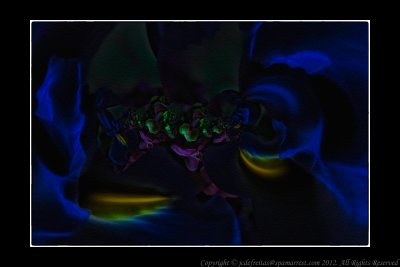 2012 - The cave