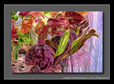 2012 - Anthuriums