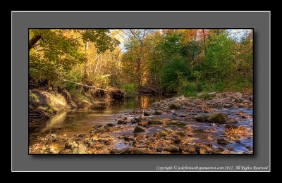 Wilket Creek Park - Toronto