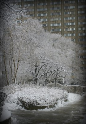 2008 - First Snow Fall (Snow & Ice) Toronto, Ontario - Canada
