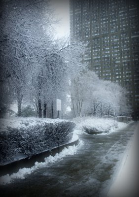2008 - First Snow Fall (Snow & Ice) Toronto, Ontario - Canada