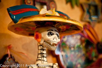 _MG_8142.jpg