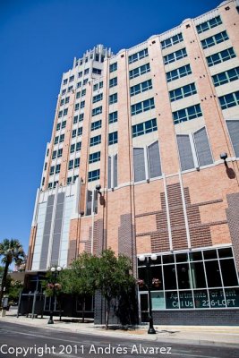 _MG_8215.jpg