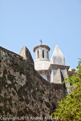 _MG_7859.jpg