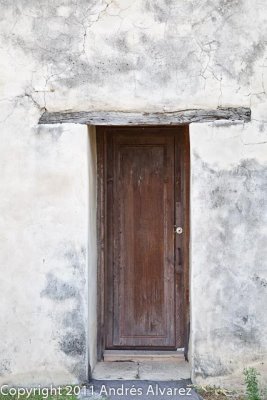 _MG_7950.jpg