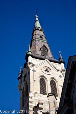 _MG_8024.jpg
