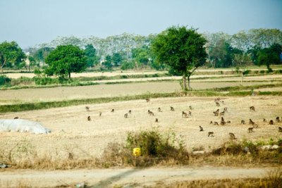 _MG_8761.jpg
