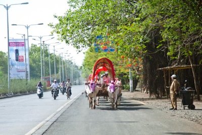 _MG_9449.jpg
