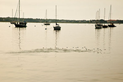 _MG_9707.jpg