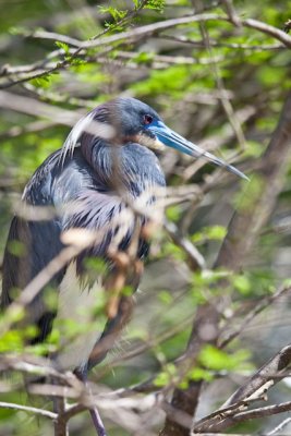 _MG_3213.jpg