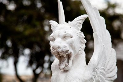 _MG_0106.jpg