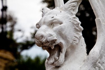 _MG_0108.jpg