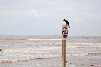 _MG_0117.jpg