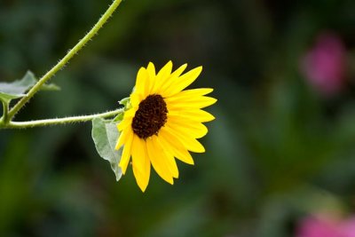 _MG_3501.jpg