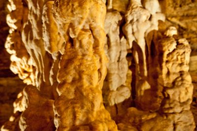 _MG_0283.jpg