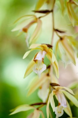 _MG_1710.jpg