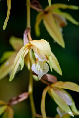 _MG_1711.jpg