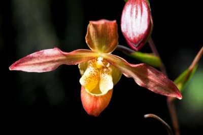 _MG_1720.jpg