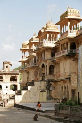 Jaipur - Monkey Temple