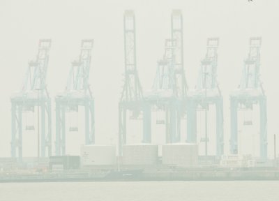 Avant-port dans le brouillard