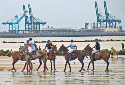 Beach polo 2011