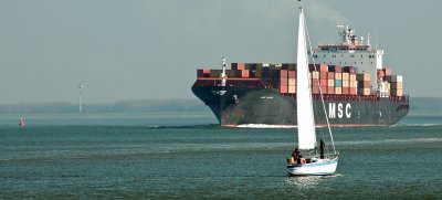 MSC INGRID