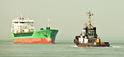 ARKLOW SALLY