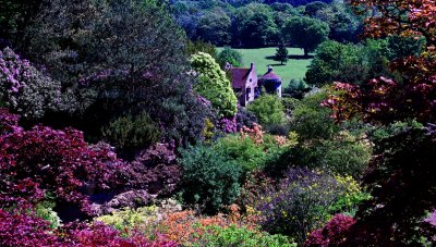 Vieux chteau de Scotney