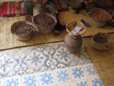 Argan oil production, Assaiss Ouargan Tichka