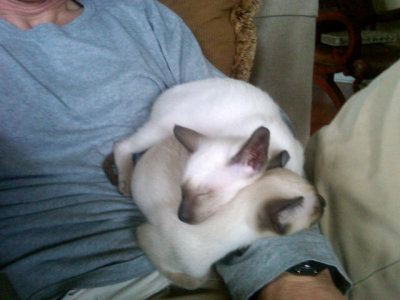 Carlos & Lyle, 5 months