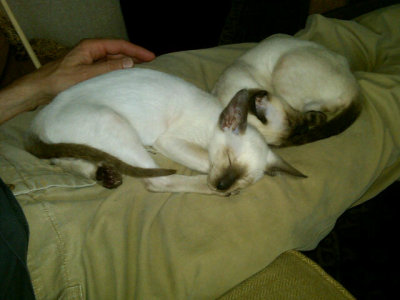 Carlos & Lyle, 5 months