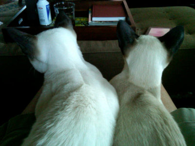 Enthralled with Snookie