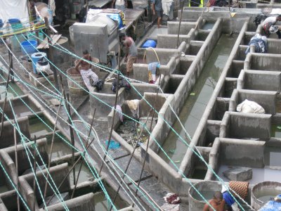  Dhobi Ghat (open laundry)