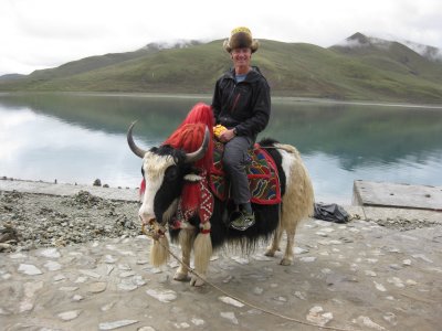T & the Yak