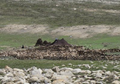 Yak-skin Nomadic tents of the Himalayas