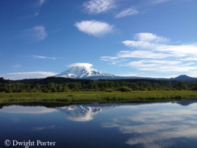 Mt. Adams from Trout Lake