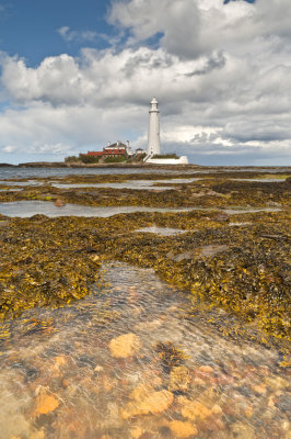 St Marys lighthouse stones