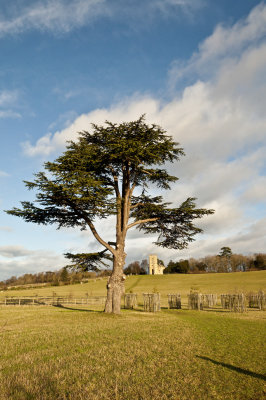 Croome Park Church