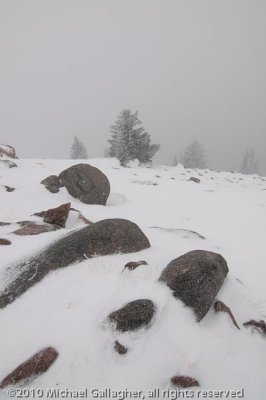_DSC1559.jpg