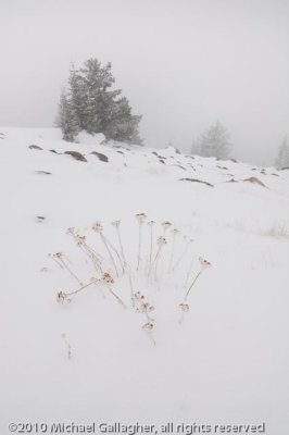 _DSC1565.jpg