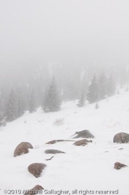 _DSC1577.jpg